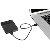 Artikelbild 1 für TOSHIBA Canvio Ready 2 TB externe HDD-Festplatte schwarz, Artikelnummer 682801