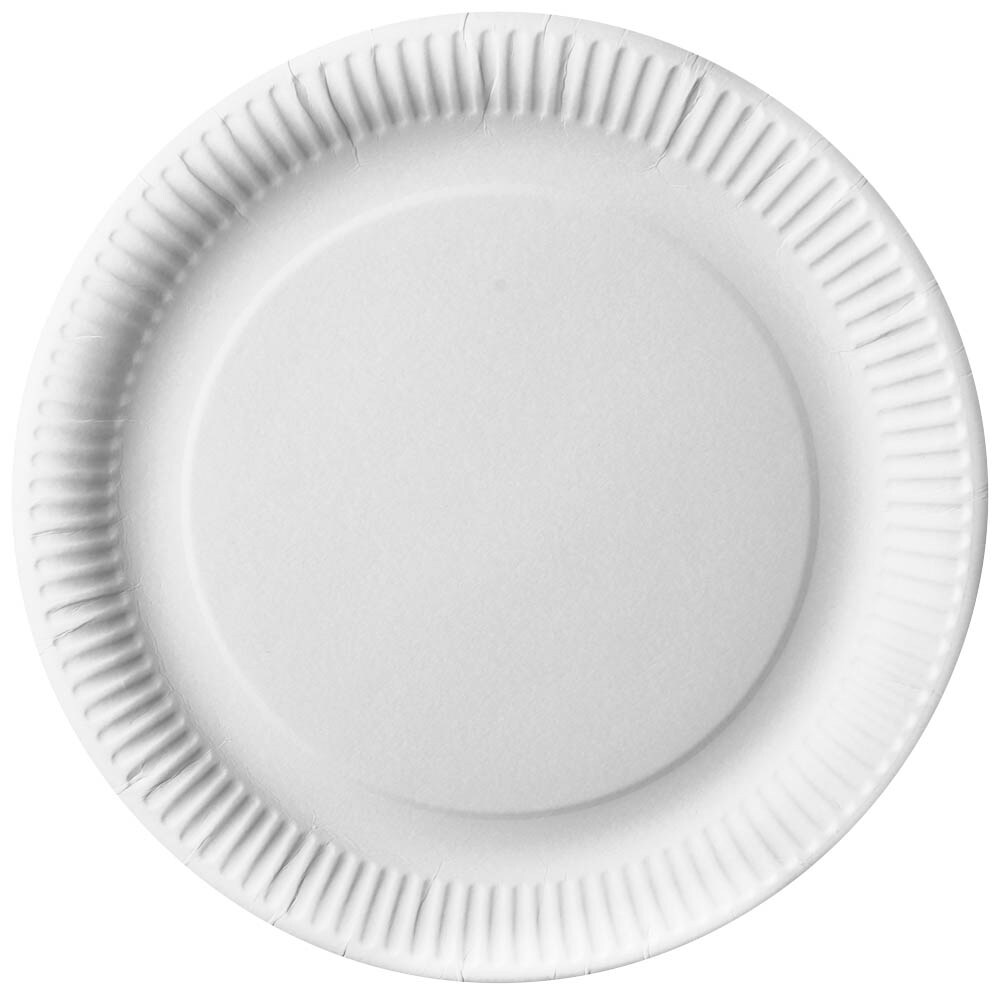 50 Ovale Pappteller Von Lemonfoundher – Ideal Für Party, Grillen & Buffet