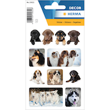 Artikelbild 1 für HERMA Aufkleber Hunde, 24 Etiketten, Artikelnummer 772671