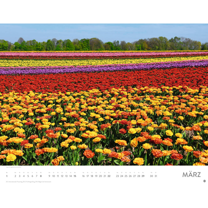 Artikelbild 4 für Heye Monats-Wandkalender Blütenmeer 2026, 1 St., Artikelnummer 551159