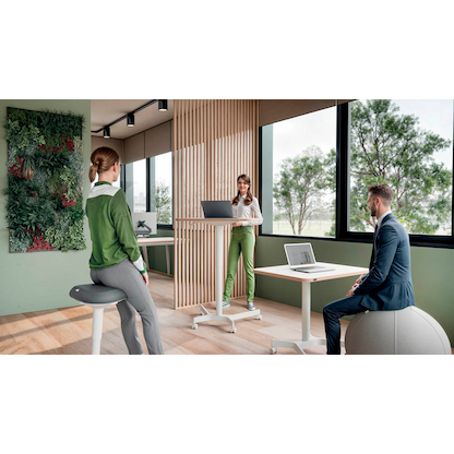 Artikelbild 12 für LEITZ Hocker Ergo Active 65440085 grau, 1 St., Artikelnummer 401527