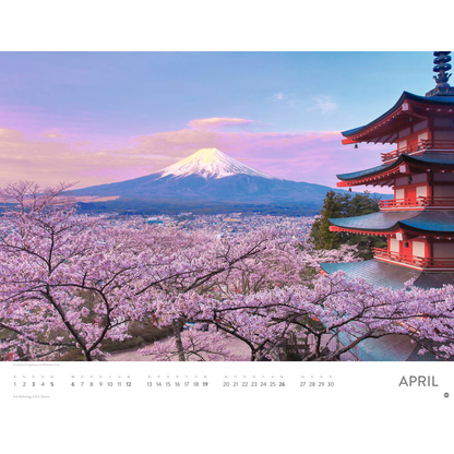 Artikelbild 5 für Heye Monats-Wandkalender Blütenmeer 2026, 1 St., Artikelnummer 551159