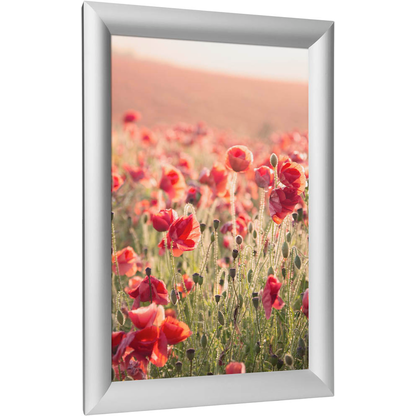 Artikelbild 5 für WESEMEYER Klapprahmen silber 32,8 x 45,1 cm, 1 St., Artikelnummer 382992