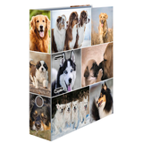 Artikelbild 1 für HERMA Motivordner Hunde 7,0 cm DIN A4, 1 St., Artikelnummer 508162