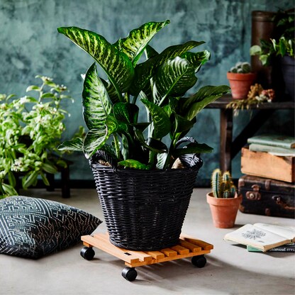 Artikelbild 3 für WAGNER® design yourself Pflanzenroller NATURE GH 0835 Holz hellbraun quadratisch 35,0 x 8,2 cm, 1 St., Artikelnummer 419752