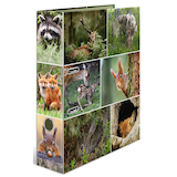 Artikelbild 1 für HERMA Motivordner Waldtiere 7,0 cm DIN A4, 1 St., Artikelnummer 508414