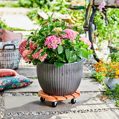 Artikelbild 3 für WAGNER® design yourself Pflanzenroller TOSCANA GH 0163 Holz, Ø 38,0 cm hellbraun rund, 1 St., Artikelnummer 420437