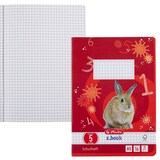 Artikelbild 1 für herlitz Schulheft x.book Lineatur 5 kariert DIN A5 ohne Rand, 16 Blatt, 1 St., Artikelnummer 891851