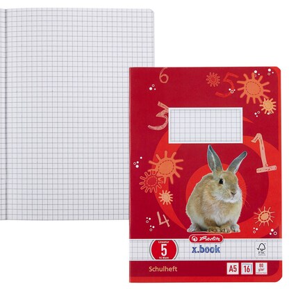 Artikelbild für herlitz Schulheft x.book Lineatur 5 kariert DIN A5 ohne Rand, 16 Blatt, 1 St., Artikelnummer 891851