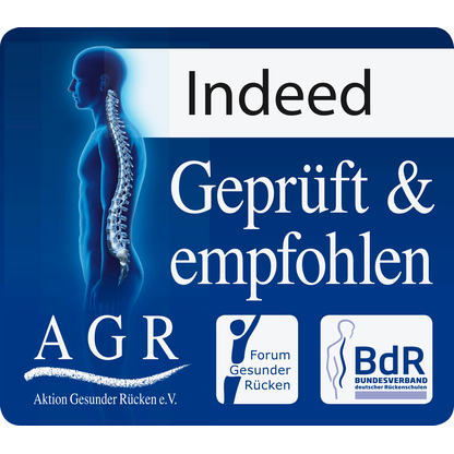 Artikelbild 4 für Dauphin Bürostuhl Indeed mesh Stoff blau, Gestell schwarz, Artikelnummer 125837