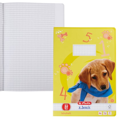 Artikelbild für herlitz Schulheft x.book Lineatur 8f rautiert DIN A4 Außenrand, 16 Blatt, 1 St., Artikelnummer 891683