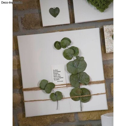 Artikelbild 2 für Rayher Kordel braun 5,0 m, Artikelnummer 686463