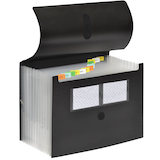 Artikelbild 1 für FolderSys Fächermappe 12 Fächer schwarz, 1 St., Artikelnummer 642074