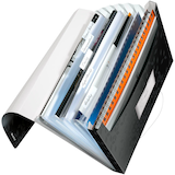 Artikelbild 1 für LEITZ Fächermappe WOW 4589 6 Fächer schwarz, 1 St., Artikelnummer 899738