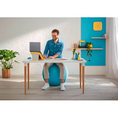 Artikelbild 9 für LEITZ Ergo Cosy Sitzball blau 65,0 cm, Artikelnummer 793937