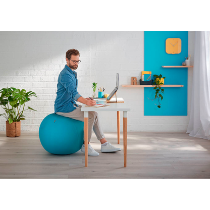 Artikelbild 15 für LEITZ Ergo Cosy Sitzball blau 65,0 cm, Artikelnummer 793937