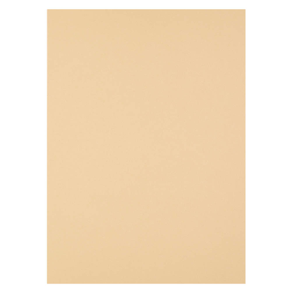 Artikelbild 4 für ELBA Aktendeckel Smart Line DIN A4 chamois, 100 St., Artikelnummer 671659