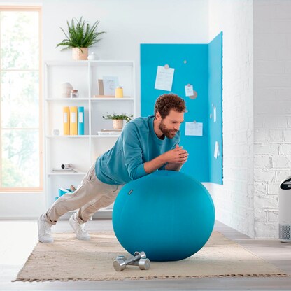 Artikelbild 12 für LEITZ Ergo Cosy Sitzball blau 65,0 cm, Artikelnummer 793937