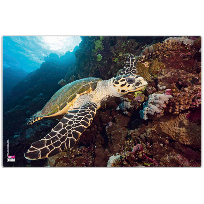 Artikelbild für VELOFLEX Schreibtischunterlage Schildkröte Kunststoff 60,0 x 40,0 cm, 1 St., Artikelnummer 278889
