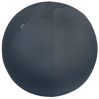 Artikelbild für LEITZ Ergo Cosy Sitzball grau 65,0 cm, Artikelnummer 793957