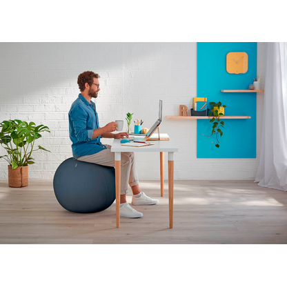 Artikelbild 5 für LEITZ Ergo Cosy Sitzball grau 65,0 cm, Artikelnummer 793957