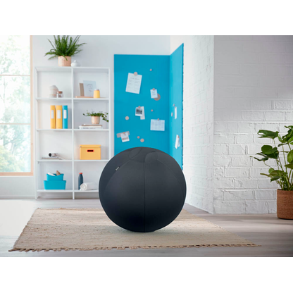 Artikelbild 6 für LEITZ Ergo Cosy Sitzball grau 65,0 cm, Artikelnummer 793957