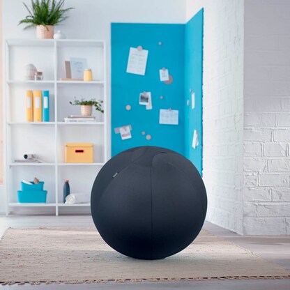 Artikelbild 7 für LEITZ Ergo Cosy Sitzball grau 65,0 cm, Artikelnummer 793957
