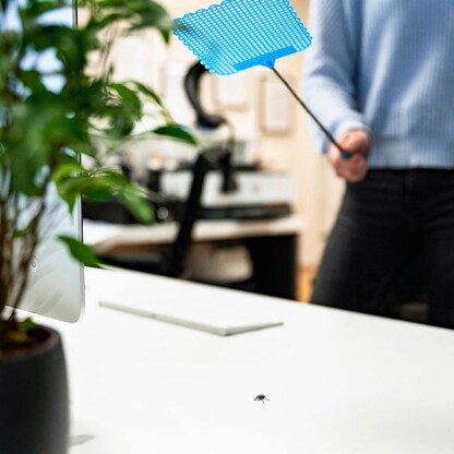 Artikelbild 8 für WESTMARK Fliegenklatschen Fly hunter farbsortiert, 4 St., Artikelnummer 539789