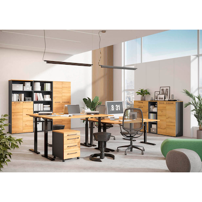 Artikelbild 7 für GERMANIA Agenda Home höhenverstellbarer Schreibtisch grandson-eiche rechteckig, C-Fuß-Gestell schwarz 180,0 x 80,0 cm, Artikelnummer 385292