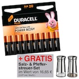 Artikelbild 1 für AKTION: DURACELL Batterien PLUS Alkali-Mangan Mignon AA 1,5 V, 20 St. + GRATIS Salz und Pfeffer Streuer, Artikelnummer 810368