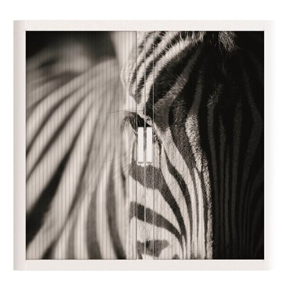 Artikelbild 3 für PAPERFLOW easyOffice Black & White Rollladenschrank 61258 2 Fachböden 110,0 x 41,5 x 104,0 cm, Artikelnummer 210858