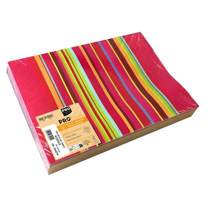 Artikelbild für PROnappe Platzsets Bunt mehrfarbig 30,0 x 40,0 cm, 400 St., Artikelnummer 348338