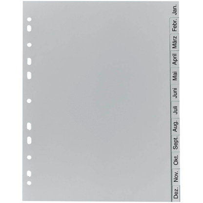 Artikelbild für Exacompta Ordnerregister DIN A4 Vollformat Jan.-Dez. grau 12-teilig, 1 Satz, Artikelnummer 386431