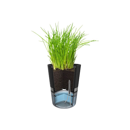 Artikelbild 3 für GEFU® Übertopf Botanico Metall, Ø 14,2 cm schwarz rund, 1 St., Artikelnummer 626501