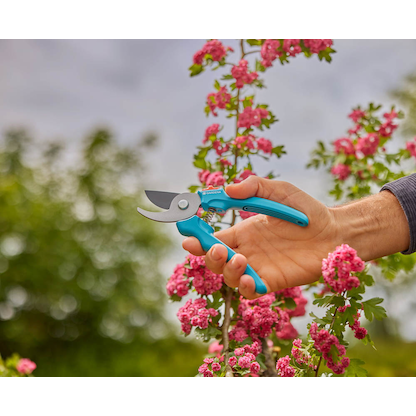 Artikelbild 3 für GARDENA EasyCut Gartenschere, Artikelnummer 556686