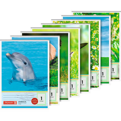 Artikelbild für BRUNNEN Briefblock DIN A5 liniert Lineatur 1. Schuljahr, 1 St., Artikelnummer 925444