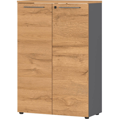 Artikelbild für GERMANIA Aktenschrank Agenda Home, 4232-564 grafit, grandson-eiche 2 Fachböden 80,0 x 40,0 x 120,0 cm, Artikelnummer 121667