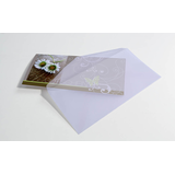 Artikelbild 1 für SIGEL Briefumschläge transparent DIN lang ohne Fenster, 25 St., Artikelnummer 547109