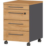 Artikelbild 1 für GERMANIA Agenda Home Rollcontainer grafit, grandson-eiche 4 Auszüge 42,0 x 49,0 x 61,0 cm, Artikelnummer 121844