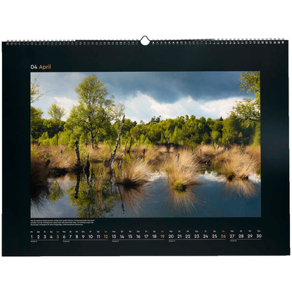 Artikelbild 5 für KUNTH Monats-Wandkalender Wildnis Deutschland 2026, 1 St., Artikelnummer 575898