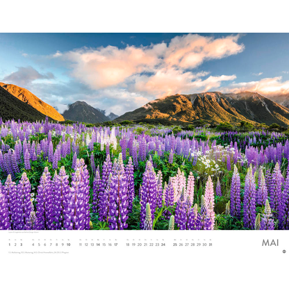 Artikelbild 6 für Heye Monats-Wandkalender Blütenmeer 2026, 1 St., Artikelnummer 551159