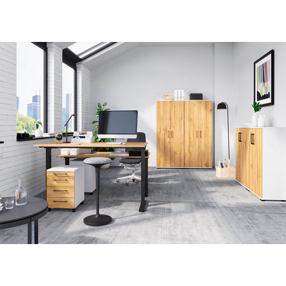 Artikelbild 11 für GERMANIA Aktenschrank Profi 3.0, 4250-559 weiß, grandson-eiche 4 Fachböden 80,0 x 40,0 x 200,0 cm, Artikelnummer 386338