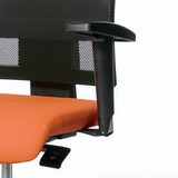 Artikelbild 1 für Topstar T2 Armlehnen verstellbar schwarz für Lady Sitness® Deluxe, Nito, Open Art, 2 St., Artikelnummer 225276