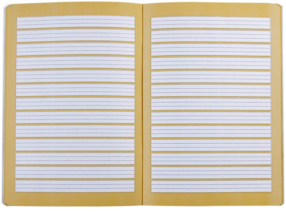 Herlitz Vokabelheft X.book – DIN A5, 40 Blatt, 3-spaltig, Lineatur 54