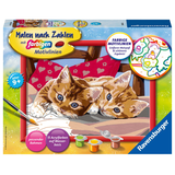 Artikelbild 1 für Ravensburger Malen-nach-Zahlen Zwei Schmusekätzchen mehrfarbig, Artikelnummer 475693