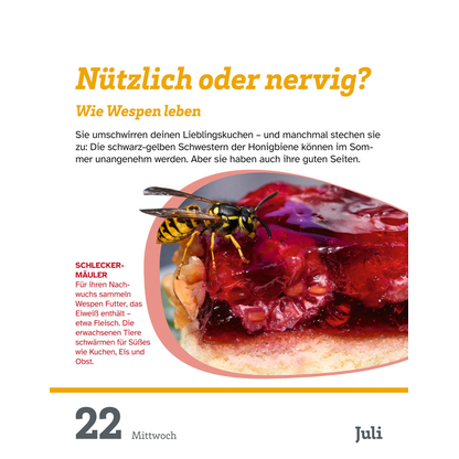 Artikelbild 10 für Harenberg Abreißkalender Was ist Was 2026, 1 St., Artikelnummer 551209