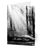 Artikelbild 1 für LUMA Trauerkarte Wald im Licht LU1350 DIN B6, 1 St., Artikelnummer 141449