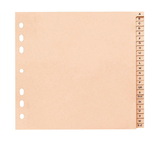 Artikelbild 1 für Ordnerregister DIN A4 Halbformat A-Z chamois 24-teilig, 10 Satz, Artikelnummer 642454