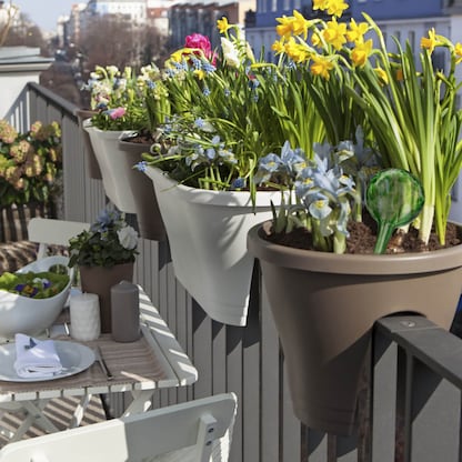 Artikelbild 7 für relaxdays Bewässerungskugeln, 2 St., Artikelnummer 440121