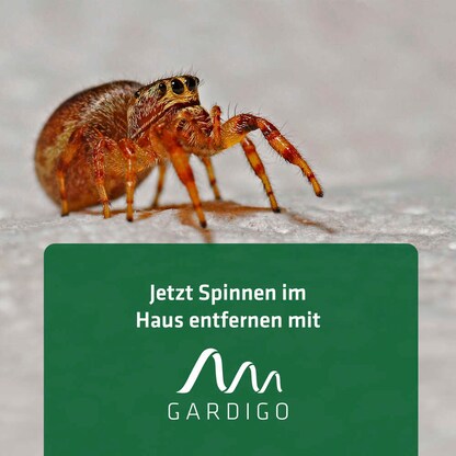 Artikelbild 2 für GARDIGO Insektenfänger weiß, grün, 1 St., Artikelnummer 796787